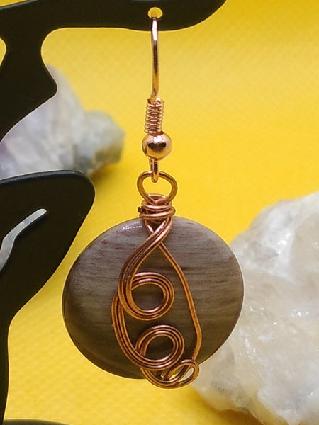 Petrified Wood Earrings